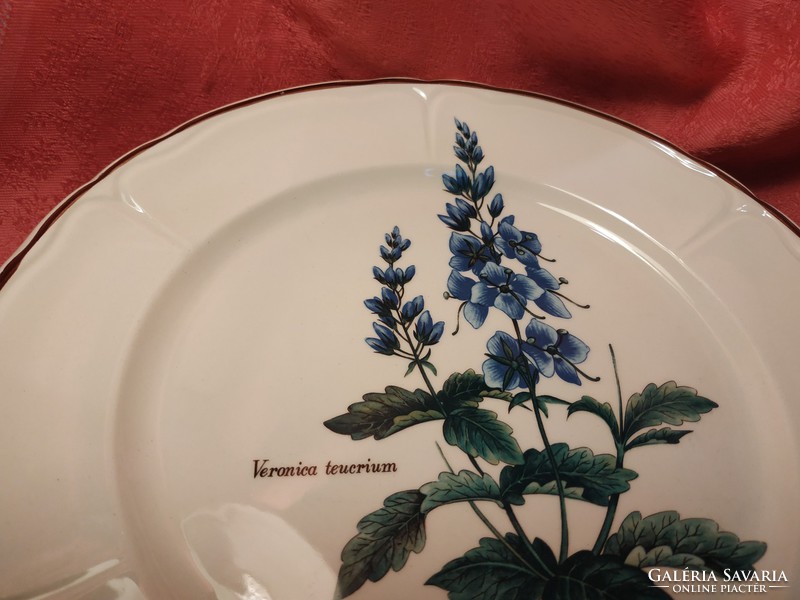 Rare, English, porcelain bowl and plate with plant motifs