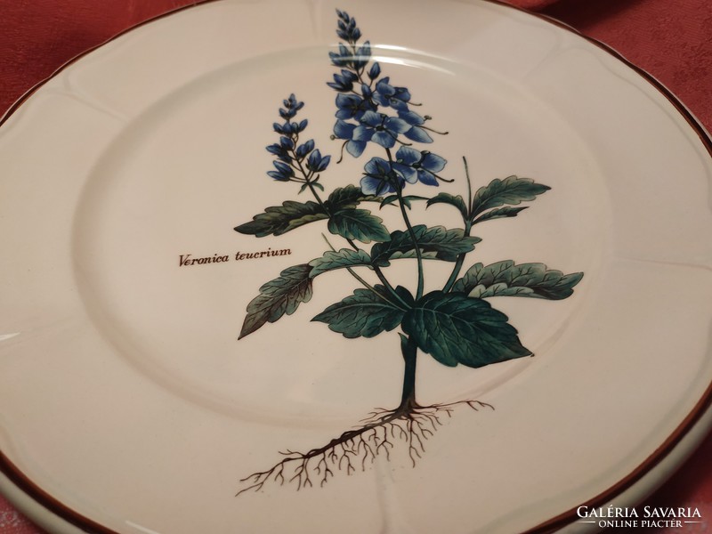 Ritka, angol, növényhatározós porcelán tál, tányér