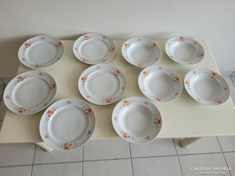 Old lowland porcelain retro floral plate 10 pcs