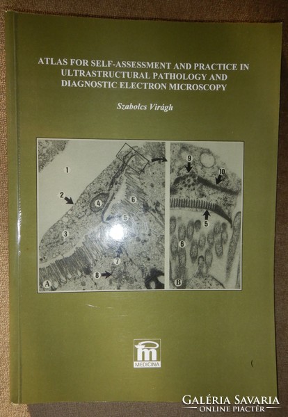 Szabolcs Virágh: Atlas For Self-Assessment And Practice In Ultrastructural Pathology And Diagnostic
