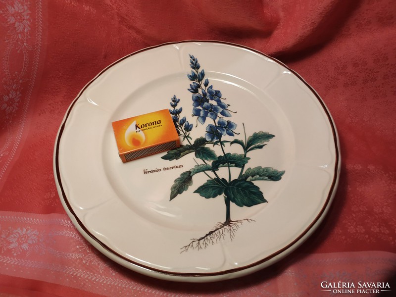 Rare, English, porcelain bowl and plate with plant motifs