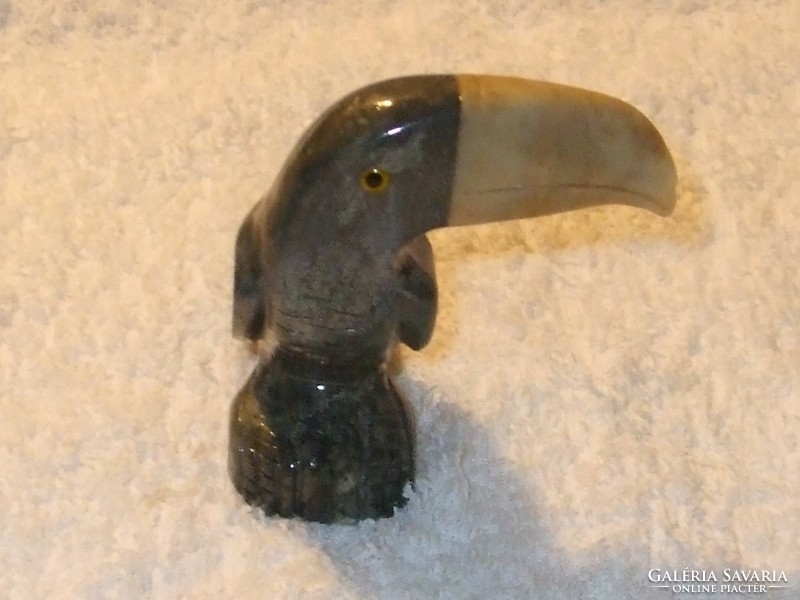 Rare marble toucan bird ..