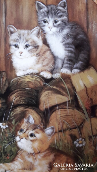 Cat porcelain decorative plate, kitten wall plate 10 (l2293)