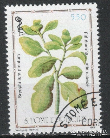 S.Tomé e principe 0142 mi 863 0.50 euros