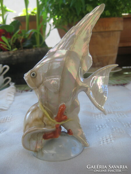 DRASCHE   vitorlás hal ,  kézi festés, hibátlan ,szépen aranyozott  , , 10 x 16 cm
