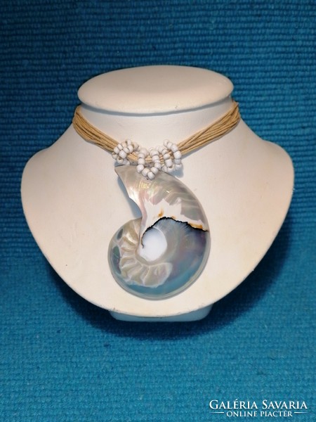 Jewelry Sea Snail (313)