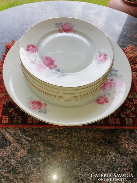 Porcelain, rosy tableware, old Czechoslovakia