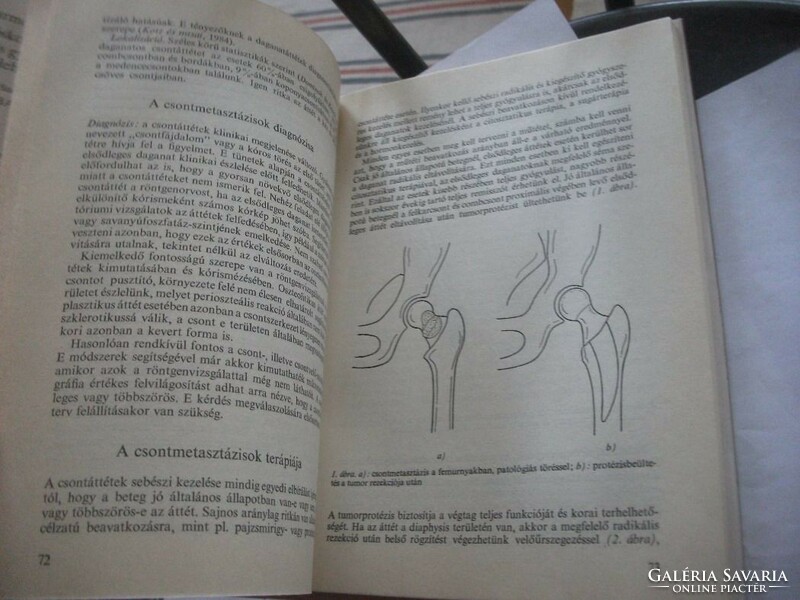 Harmonikus öregkor Az időskori betegségek szakkönyve ++ gyógyítása medicina kiadás