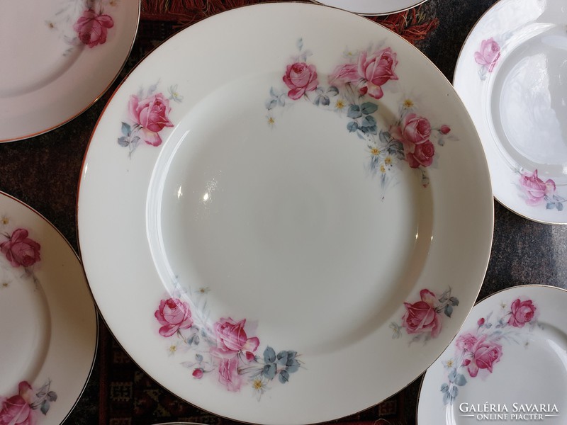 Porcelain, rosy tableware, old Czechoslovakia