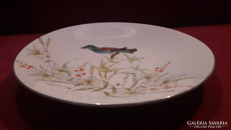 Antik szalakótás falitányér, madaras porcelán tányér (M2580)