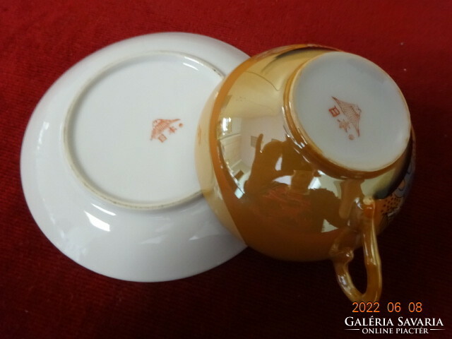 Japán porcelán ötszemélyes teáskészlet, 14 darabos. Vanneki! Jókai.