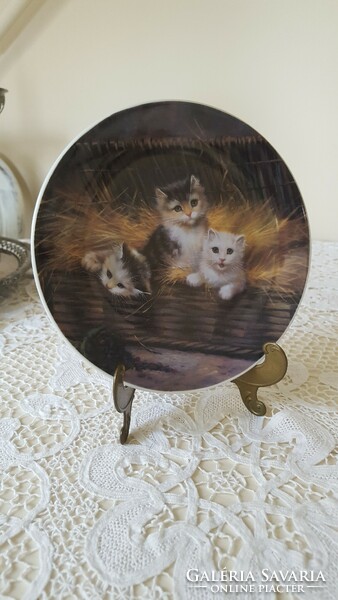 Very nice kitten decorative plate