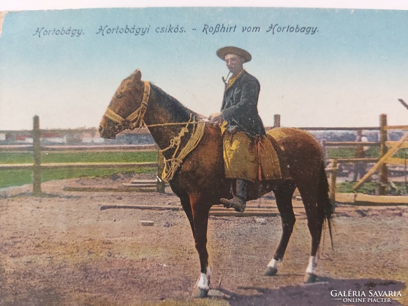 Régi képeslap fotó levelezőlap 1918 Hortobágy csikós ló