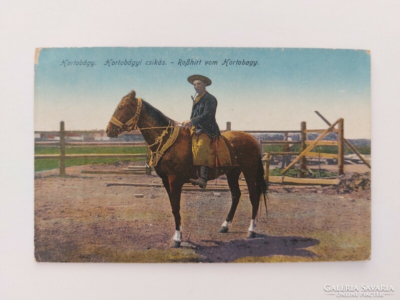 Old postcard photo postcard 1918 Hortobágy foal horse