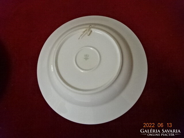 Hollóház porcelain wall plate, diameter 24 cm. He has! Jókai.