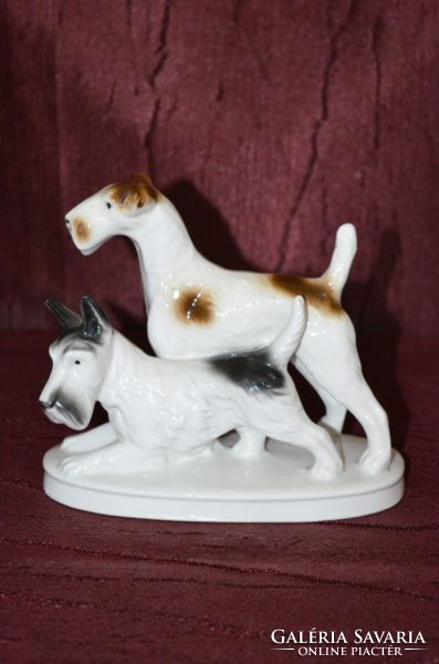 GDR fox terrier dog pair ( dbz 0029 )