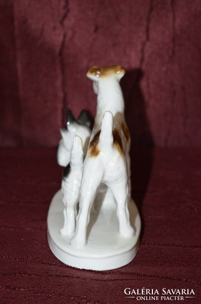 GDR fox terrier dog pair ( dbz 0029 )