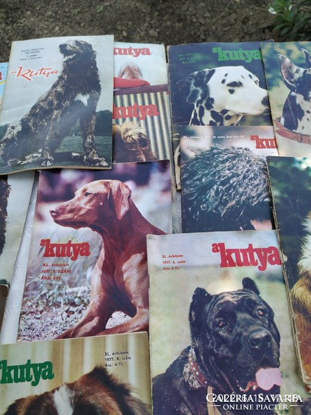 Retro  KUTYA újság 1972-1978 évből 42 db eladó!