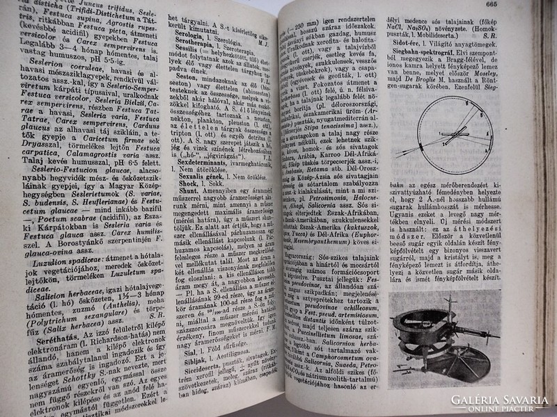 Természettudományi Lexikon. Gombocz Endre szerk., 1934