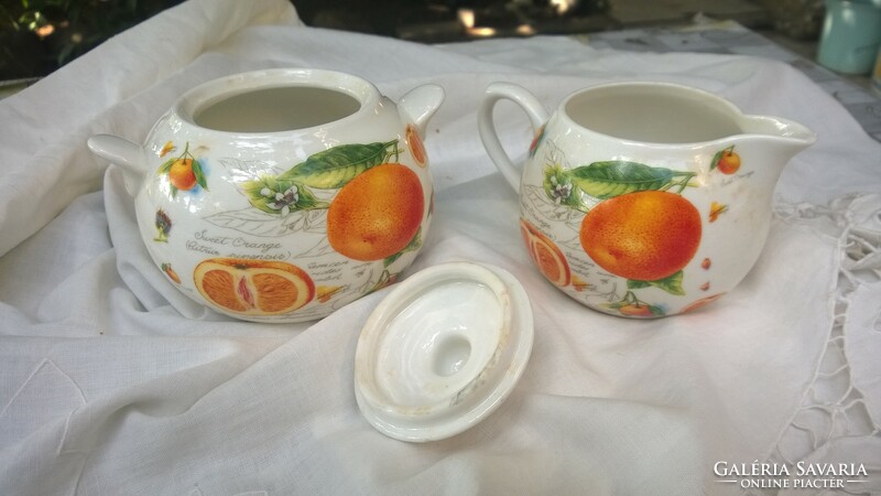 From the Leonardo collection-English milk spout-bowl holder orange mot.-For tea and coffee