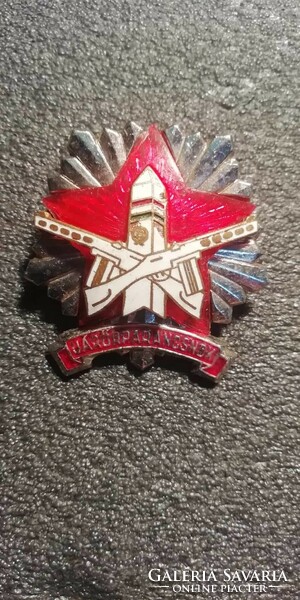Mn patrol badge, badge silver grade
