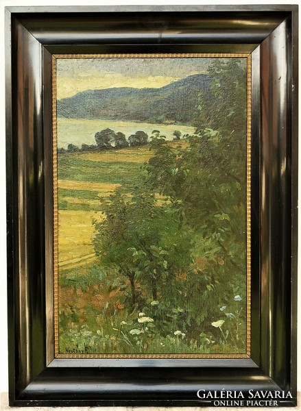 Krutsay Ferenc (1868 - 1924) Dunakanyar Dömösi Táj c. festménye 84x60cm Eredeti Garanciával!