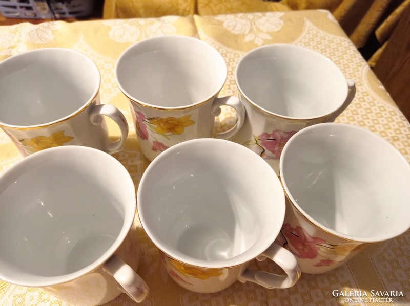 Apulum has six flawless mugs