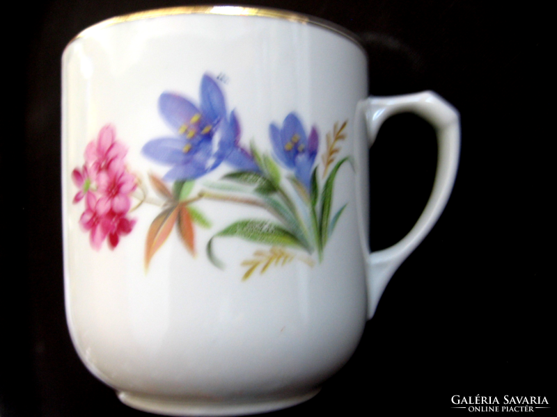 Antique violet, gentian mothers day mug ms czechoslovakia