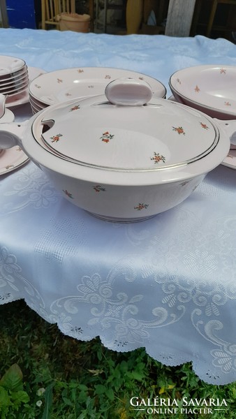 Thun bohemian pink tableware 22 pcs