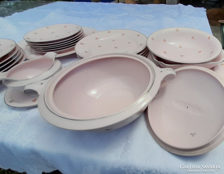 Thun bohemian pink tableware 22 pcs