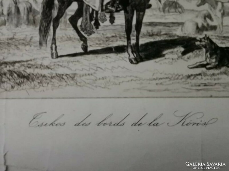Kőrösi foal, signed etching