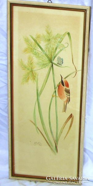 Contemporary painting depicting a watercolor bird, marked 46.5 x 20, 44 x 17.5 cm.