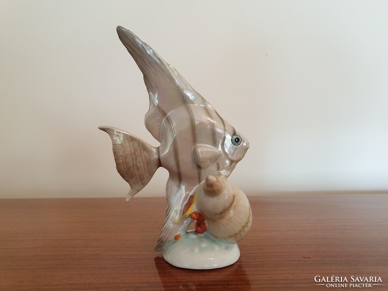 Old drasche porcelain sea fish with shells