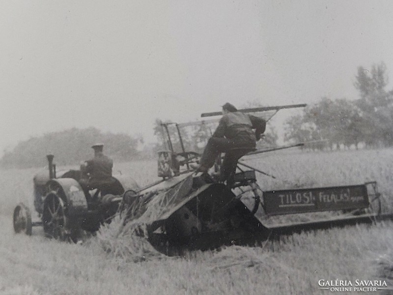 Régi fotó földművelés mezőgazdaság aratás körmös traktor fénykép