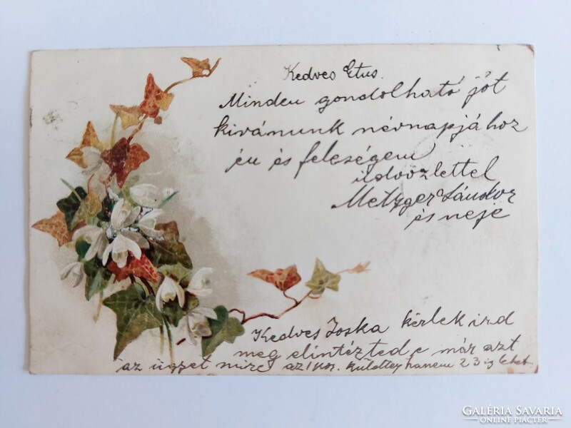 Régi virágos képeslap levelezőlap hóvirág borostyán