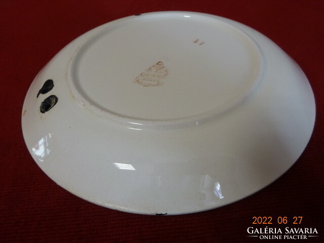 Granite porcelain, antique decorative plate, diameter 19 cm. He has! Jókai.