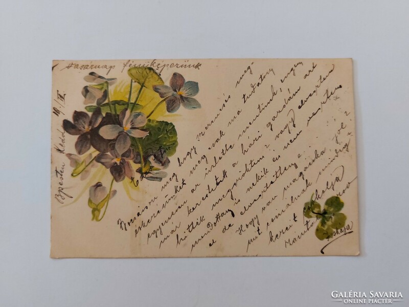 Régi képeslap 1900 virágos levelezőlap ibolya lóhere