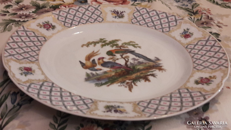 Tropical bird porcelain decorative plate, wall plate (l2250)