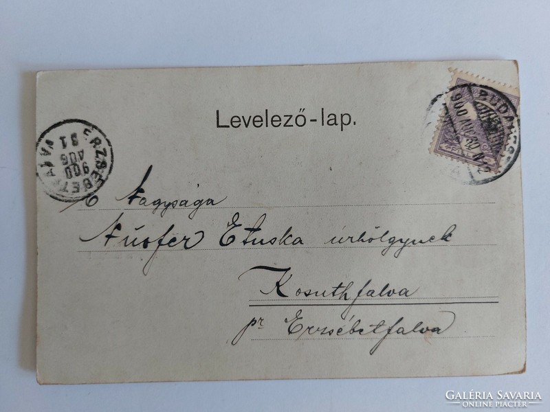 Régi képeslap 1900 levelezőlap hölgyek erdő