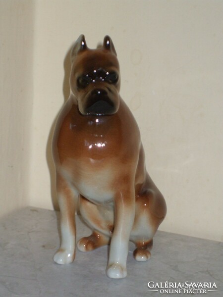 Rare royal dux porcelain boxer dog.