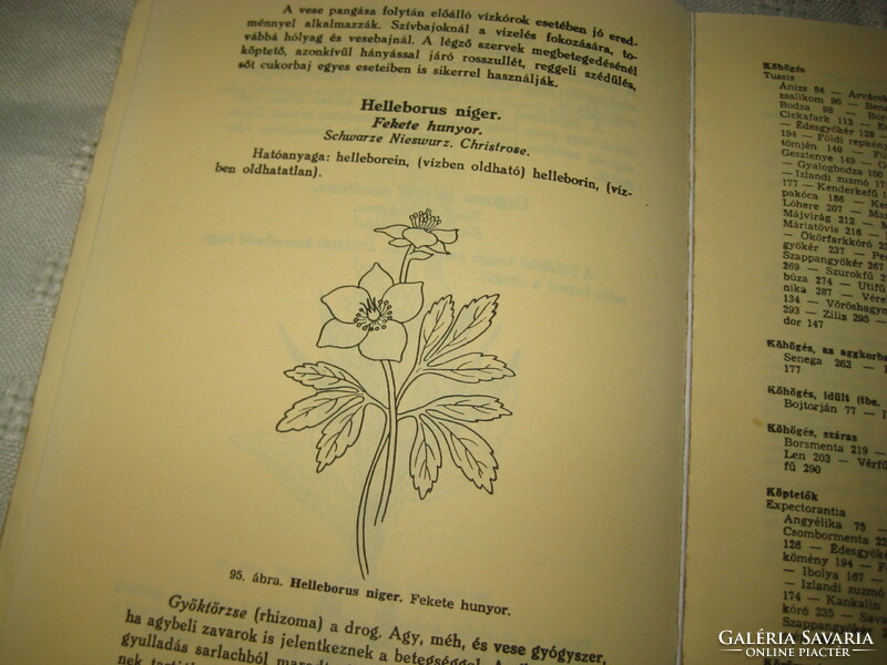 Varró Aladár Béla Gyógynövények gyógyhatásai  1991 . Gyógyfüves könyv  400 oldalon