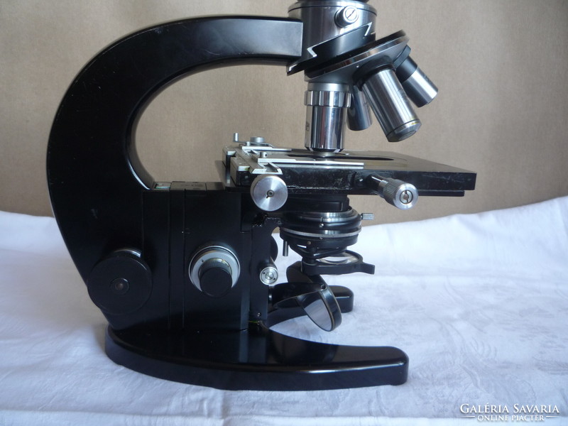 Zeiss microscope.