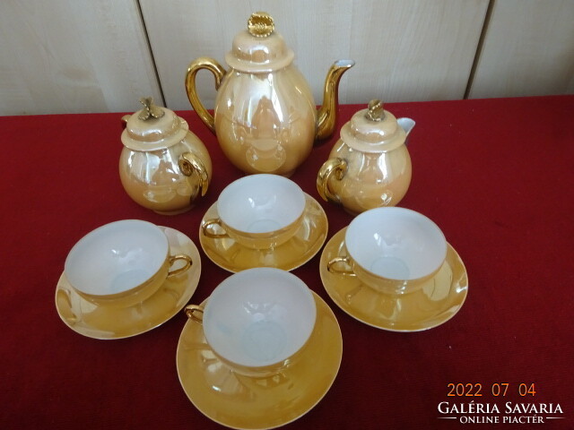 Japanese porcelain golden brown coffee set, for four. He has! Jokai.