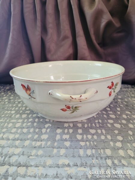 Art Nouveau majolica bowl with rosehip pattern