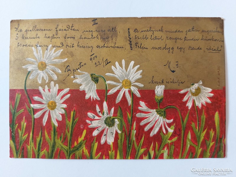 Régi képeslap 1900 virágos levelezőlap margaréta