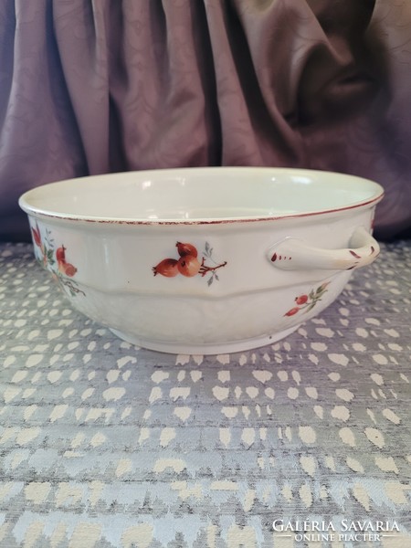 Art Nouveau majolica bowl with rosehip pattern