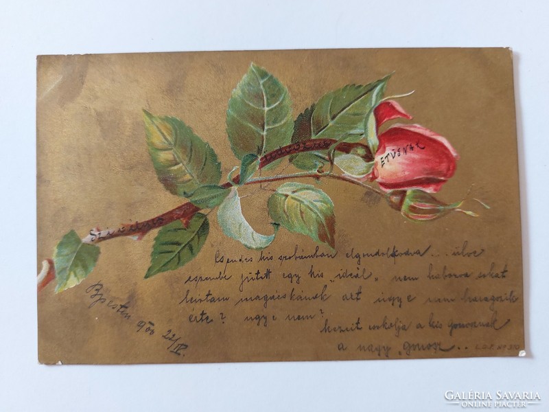 Régi képeslap 1900 levelezőlap rózsa