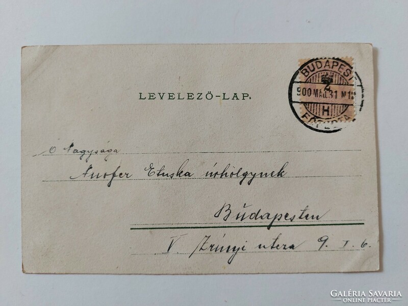 Régi képeslap 1900 levelezőlap nefelejcs masni csillámos