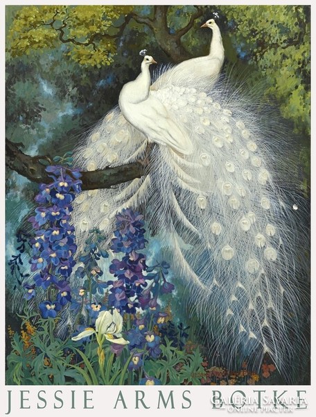 Jessie arms botke white peacock and blue spur grass 1924 painting art poster flower garden
