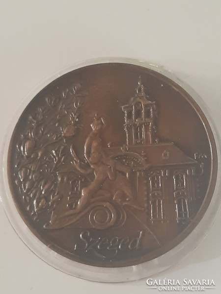 Szeged bronze commemorative medal in a plastic case